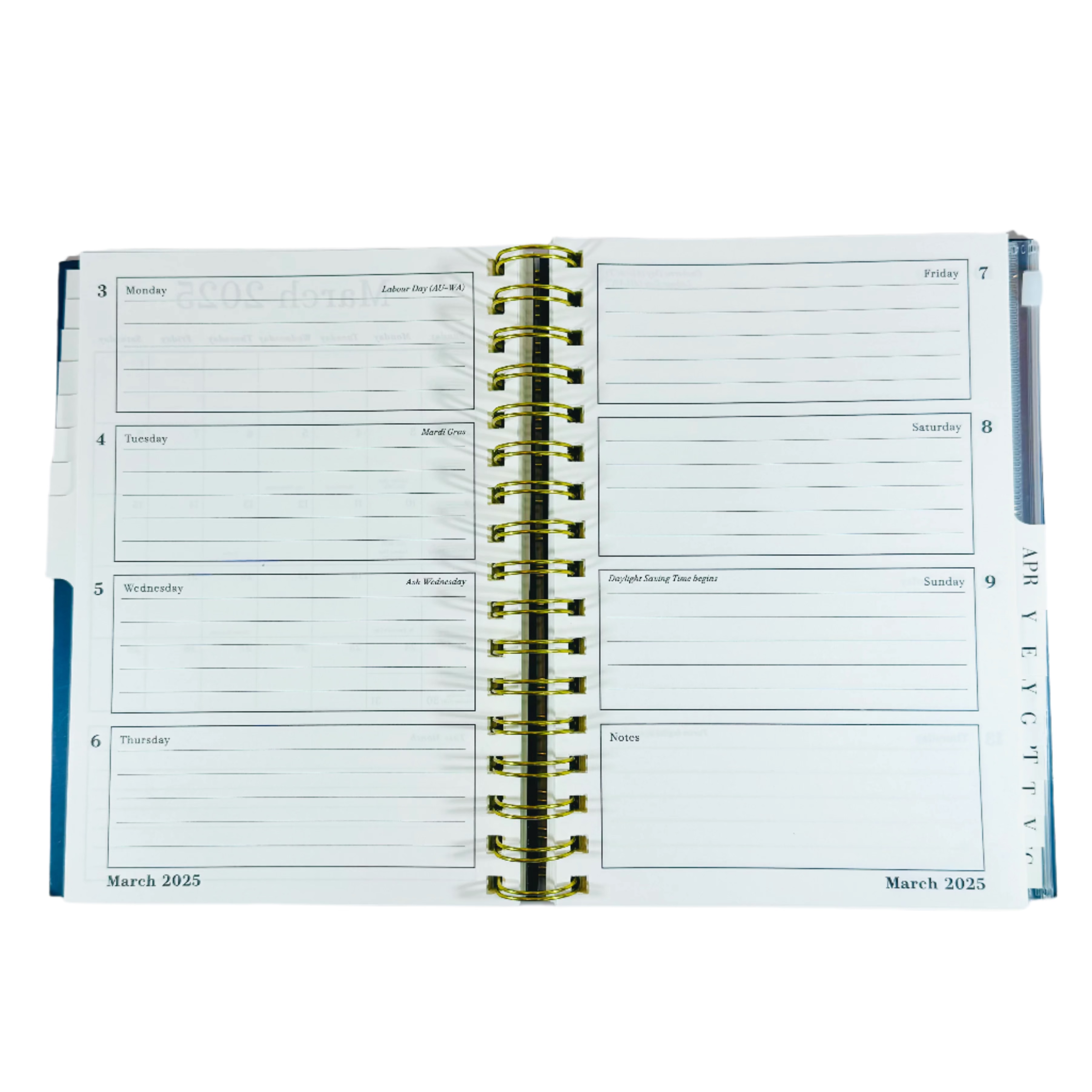 Punch Studio Monthly & Weekly Planner - 17 Months