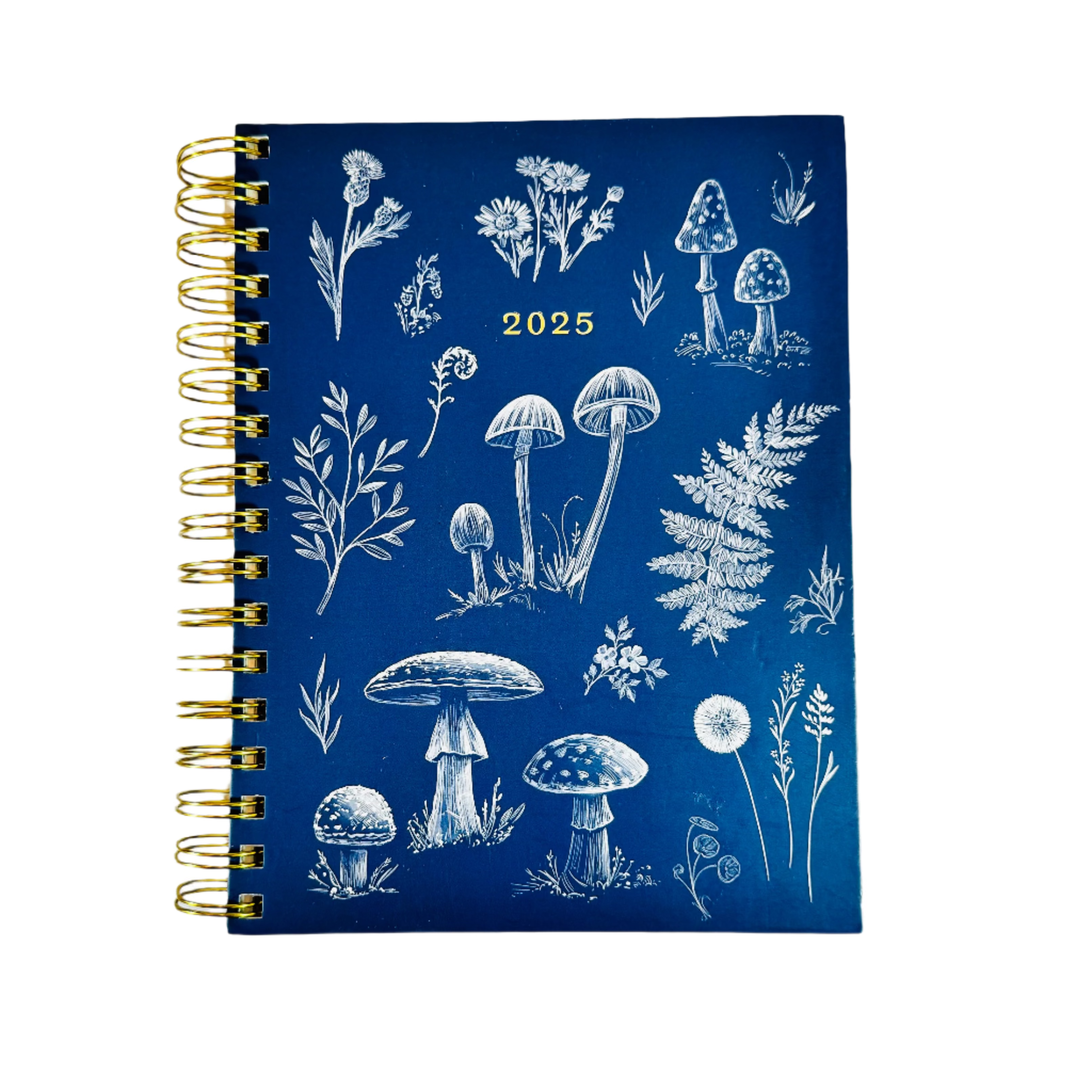 Punch Studio Monthly & Weekly Planner - 17 Months