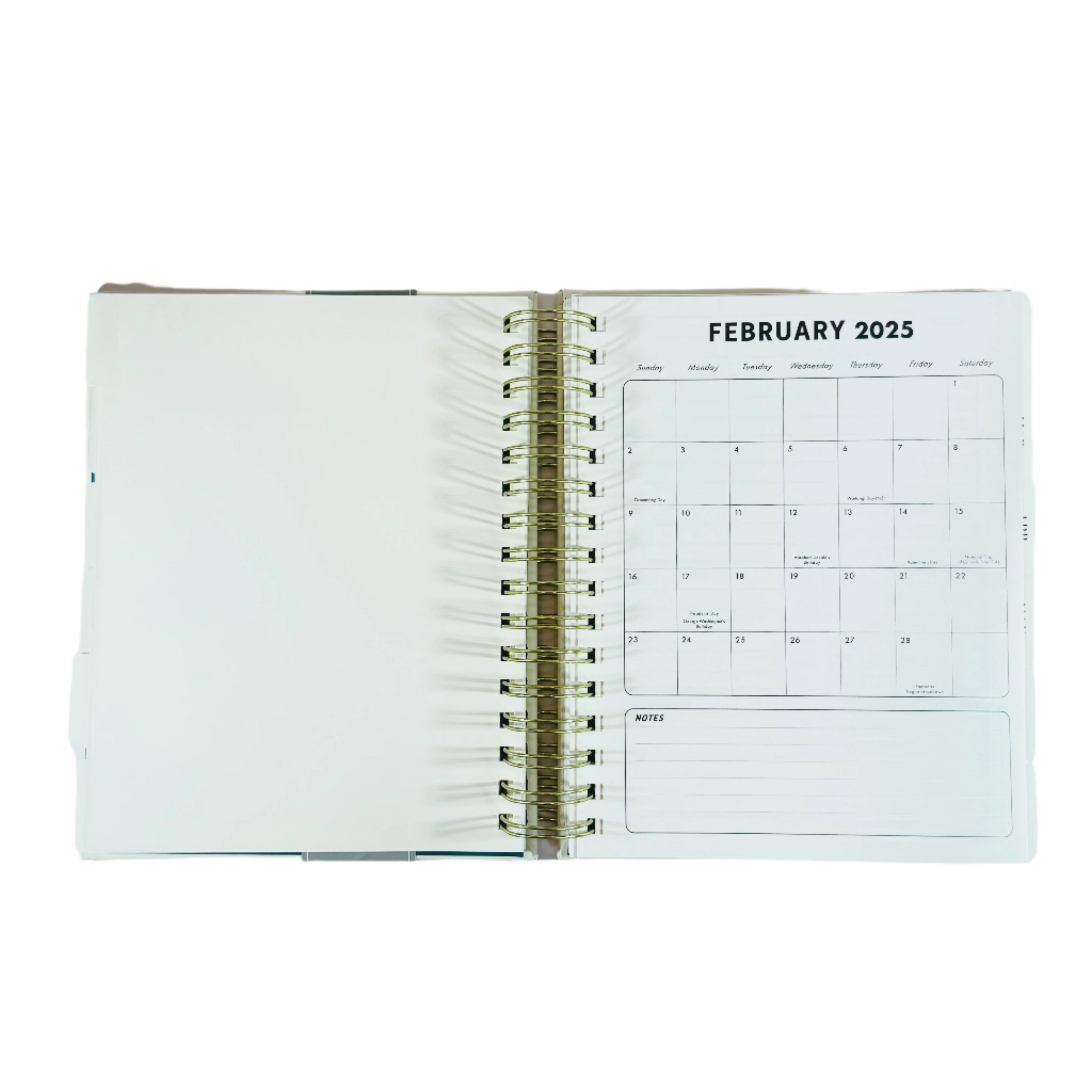 Molly & Rex Monthly & Weekly Planner 2024 / 2025 - 17 Months