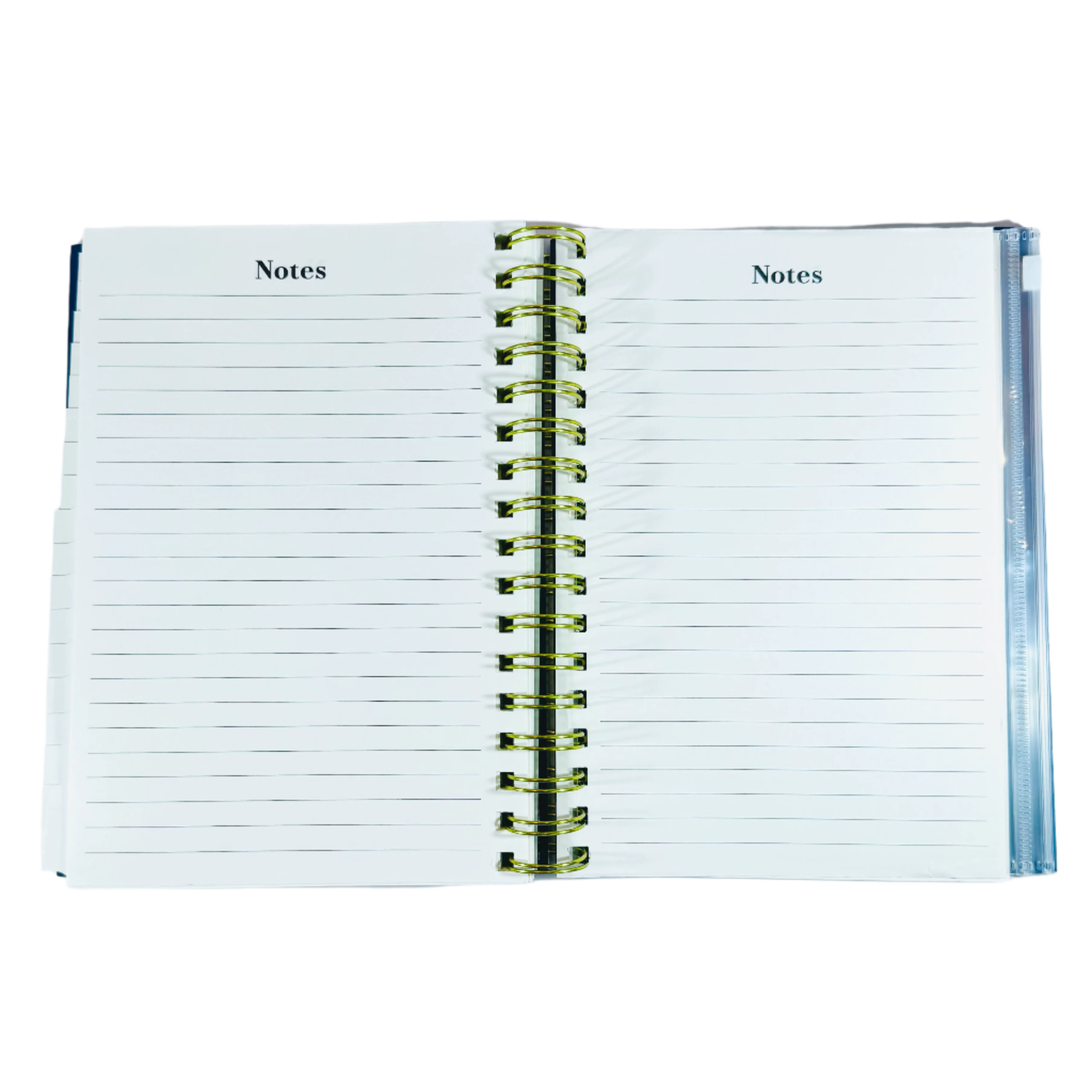 Punch Studio Monthly & Weekly Planner - 17 Months