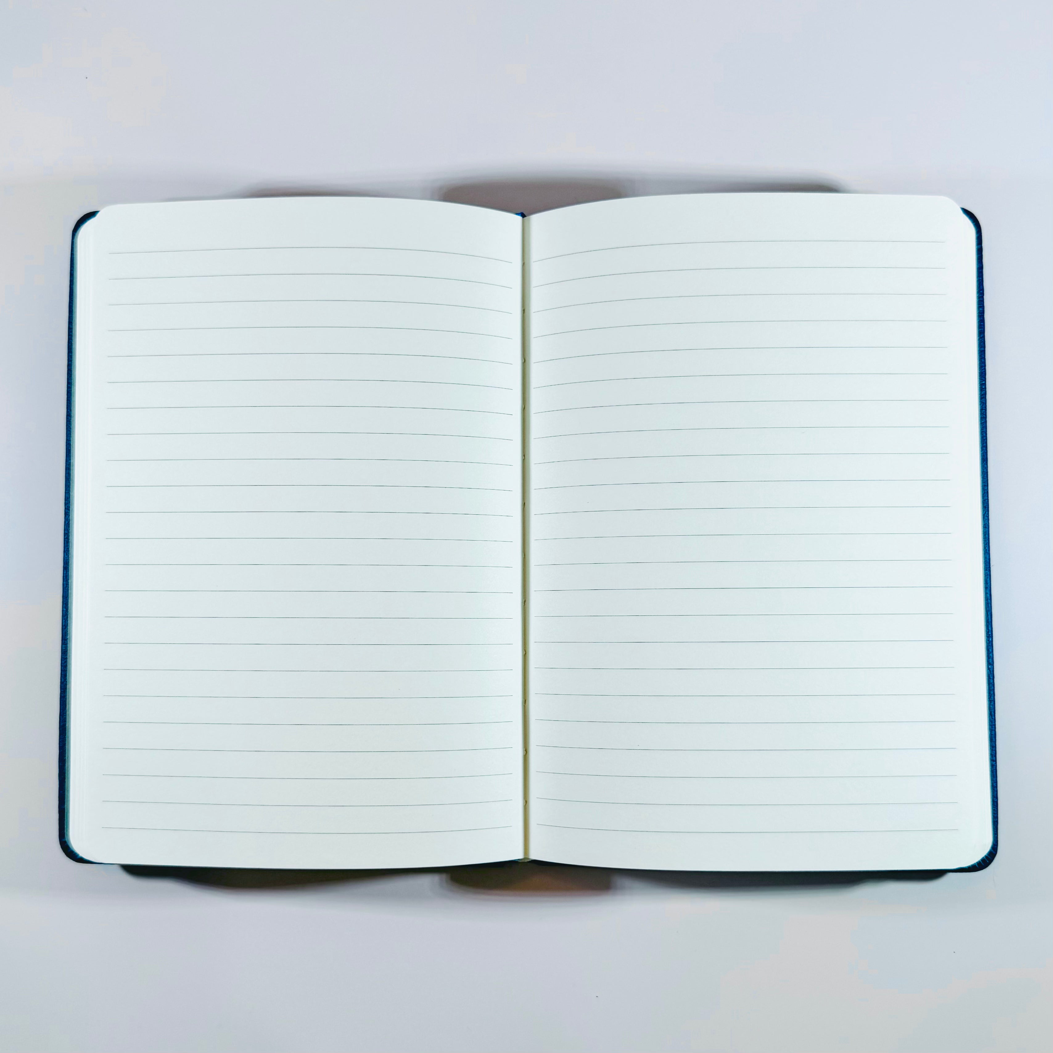 Eccolo Moleskin Journal